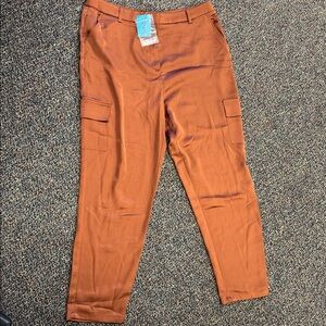 Rust Cargo Pants